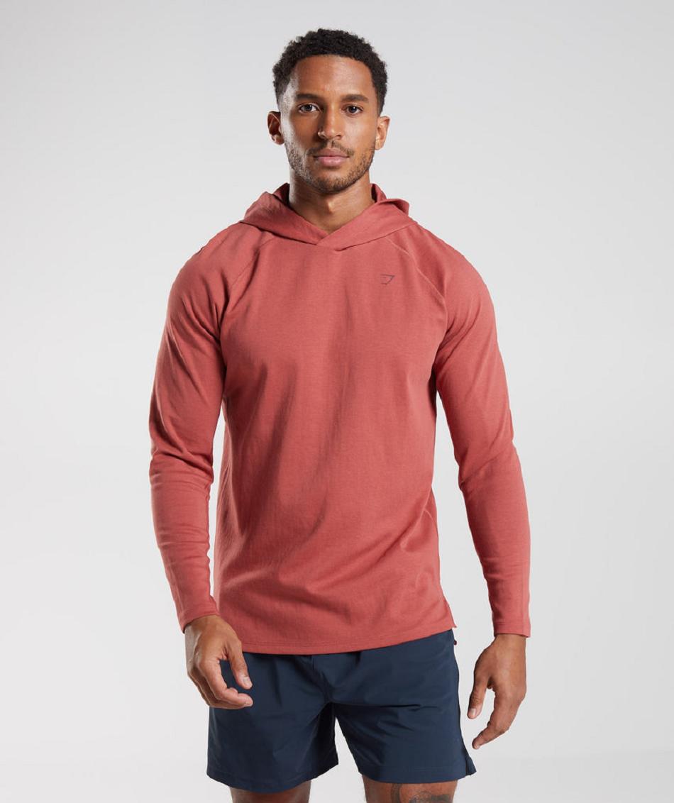 Sudadera Con Capucha Gymshark Studio Hombre Rosas Marrones | CO 3632DFM